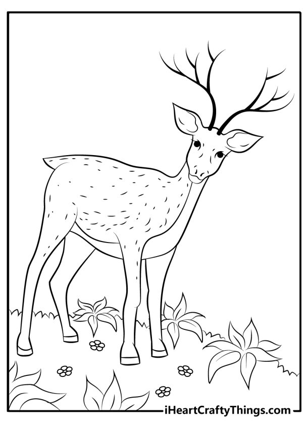 15 Deer Coloring Pages (100% Free Printables)
