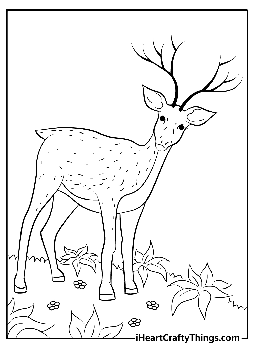 cartoon Deer Coloring Pages free printable