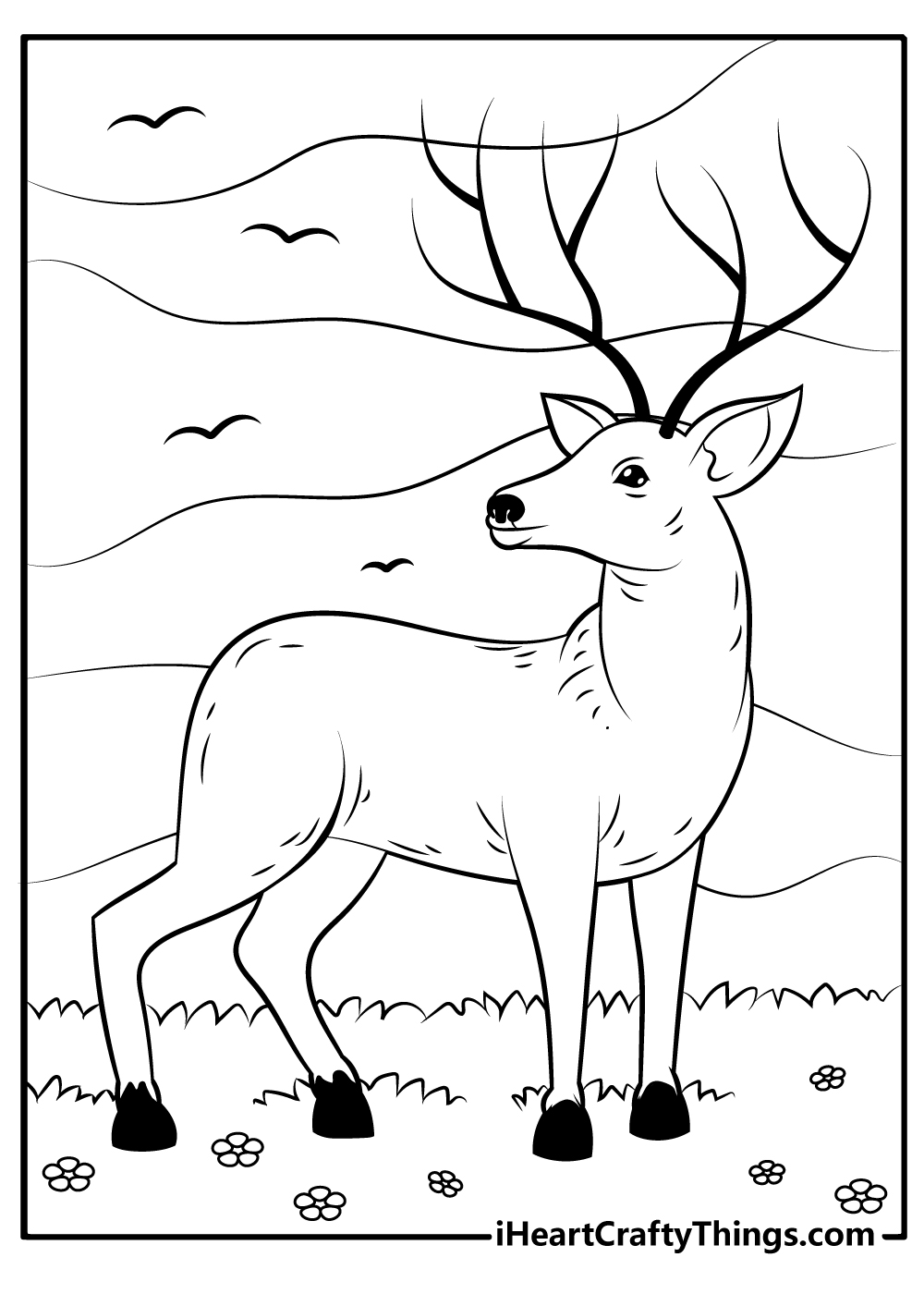 black and white Deer printable Pages