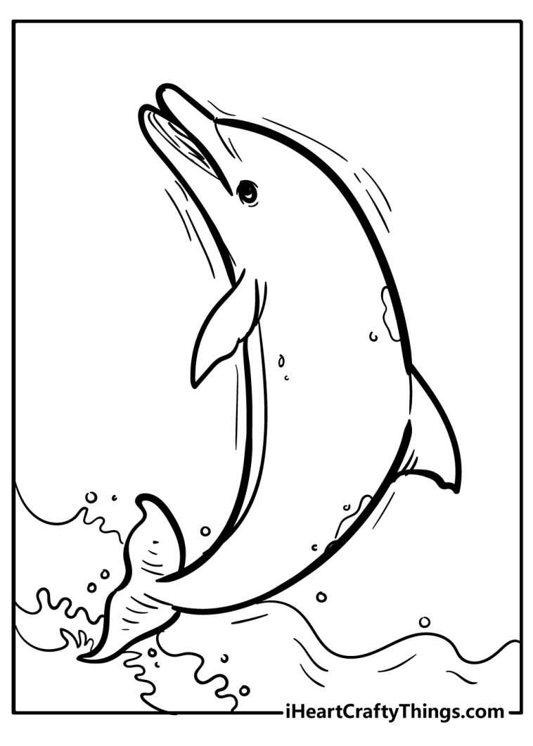 Dolphin Coloring Pages (100% Free Printables)