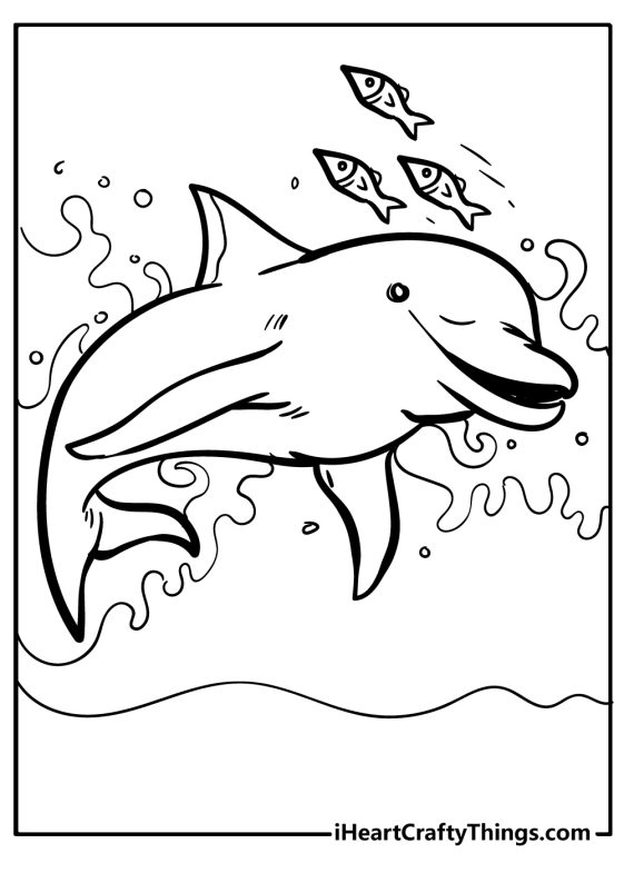 Dolphin Coloring Pages (100% Free Printables)