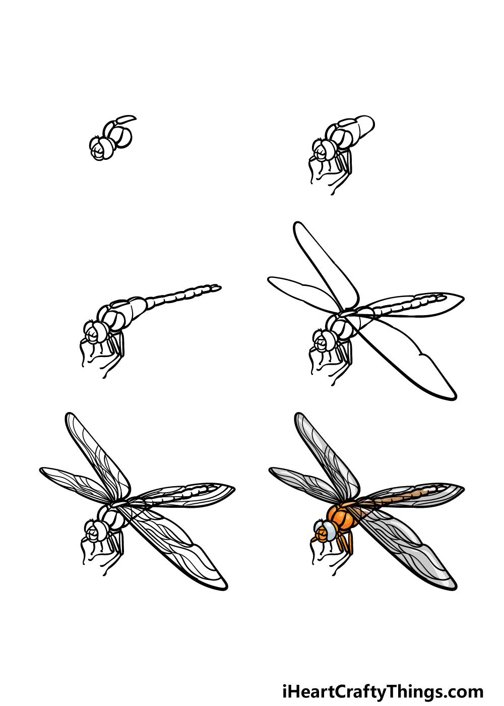 how to draw a Dragonfly in 6 steps