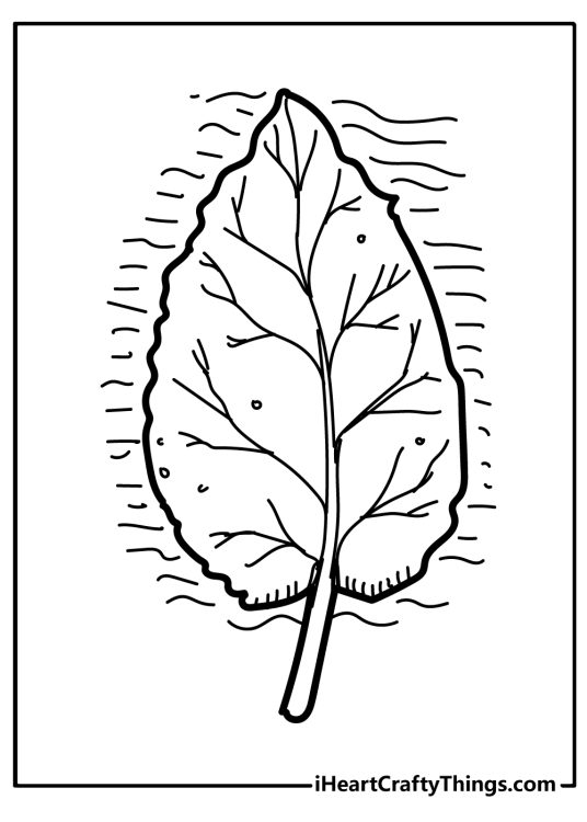 Detailed fall-themed printable coloring page featuring a single pointed leaf with few horizontal lines around it