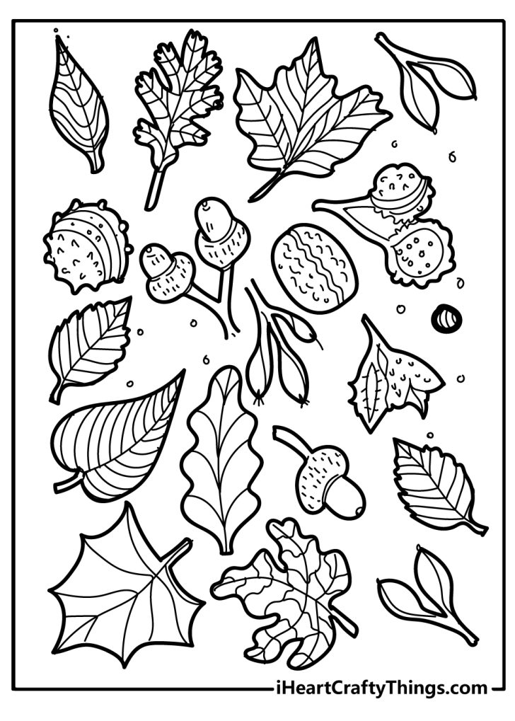 Fall Coloring Pages: 47 Free Printables For This Autumn!
