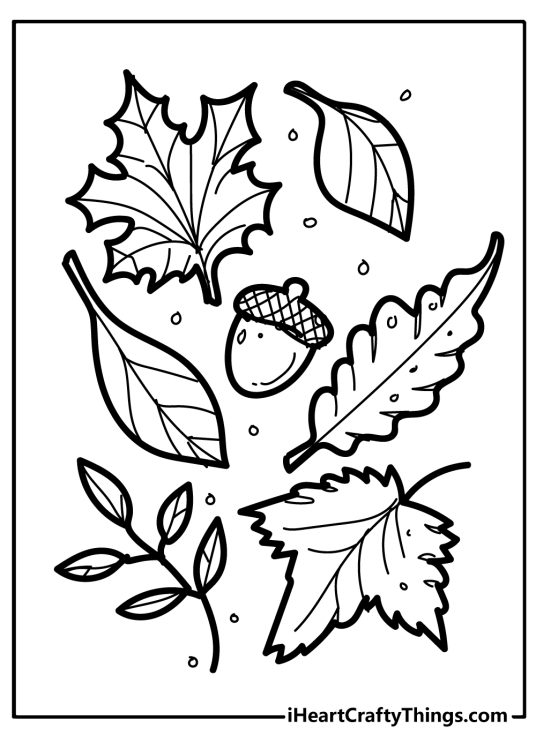 Fall-themed printable for children depicting one single acorn surrounded by various leaves