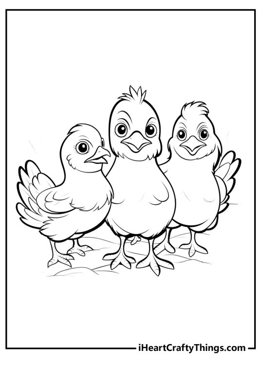 Farm animal coloring page featuring three adorable baby chicks standing side by side