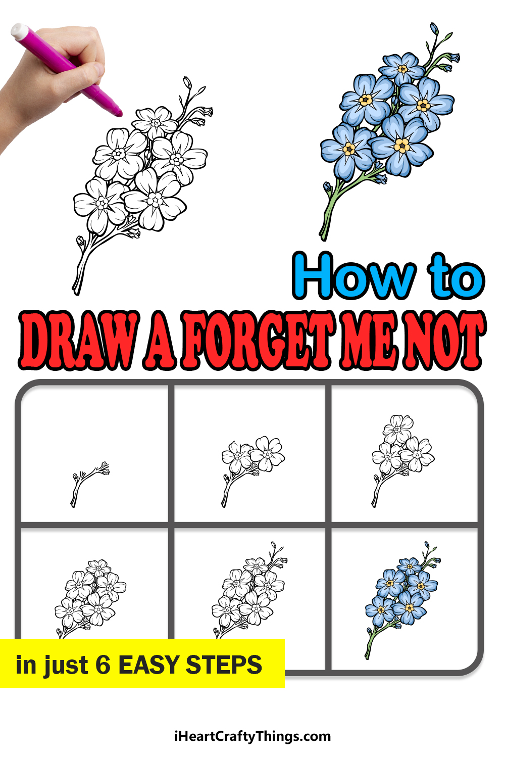 how to draw a Forget Me Not in 6 easy steps