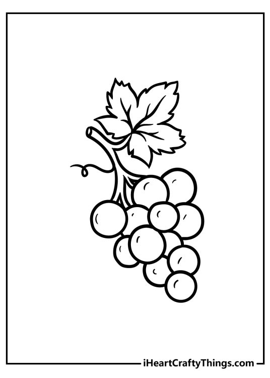 Fruit-themed image capturing a very realistic-looking grape with a small twig and a grape leaf