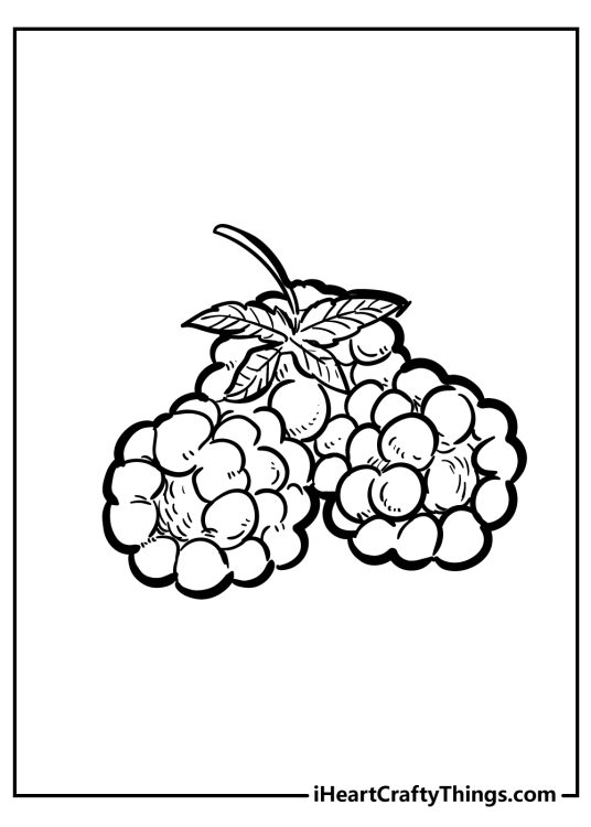 Fruit printable coloring sheet featuring an intricate and very realistic illustration of a grape