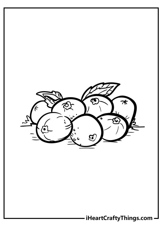 Fruit-themed coloring sheet featuring seven pomegranates in the center of the page