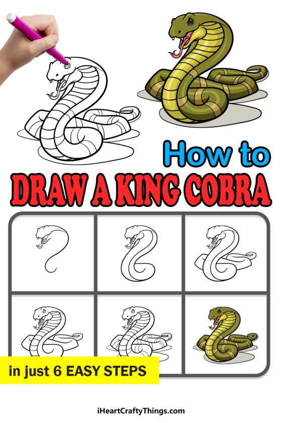 King Cobra Drawing - How To Draw A King Cobra Step By Step