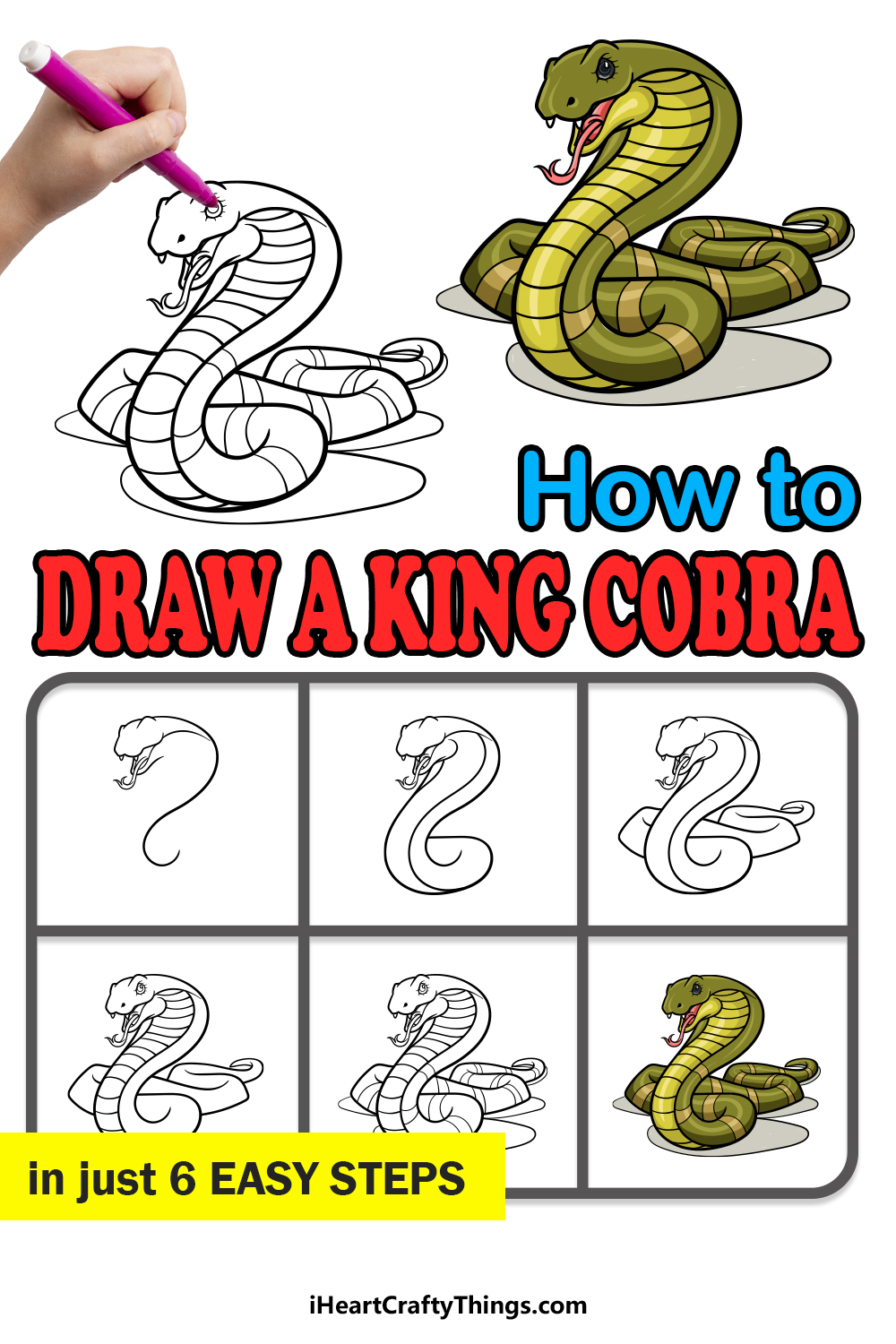 how to draw a King Cobra in 6 easy steps