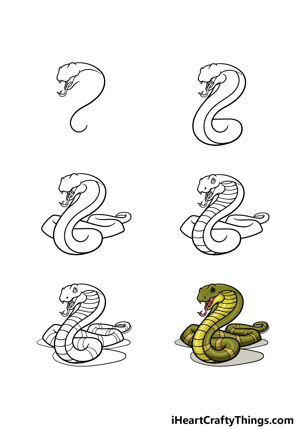 how to draw a King Cobra in 6 steps