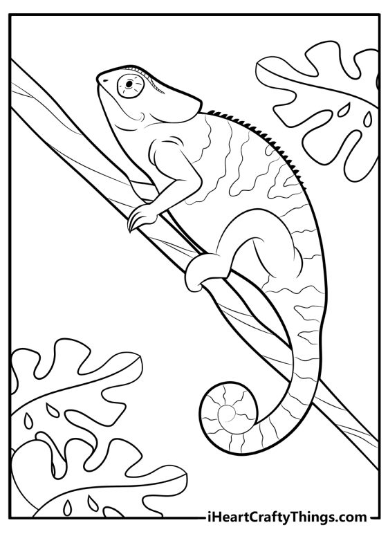15 Free Lizard Coloring Pages Printable Cute, Realistic PDF