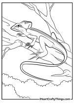 15 Free Lizard Coloring Pages: Printable Cute, Realistic PDF