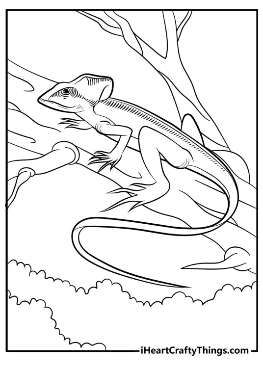 Free coloring image featuring lizard with very long tail climbing up the tree trunk