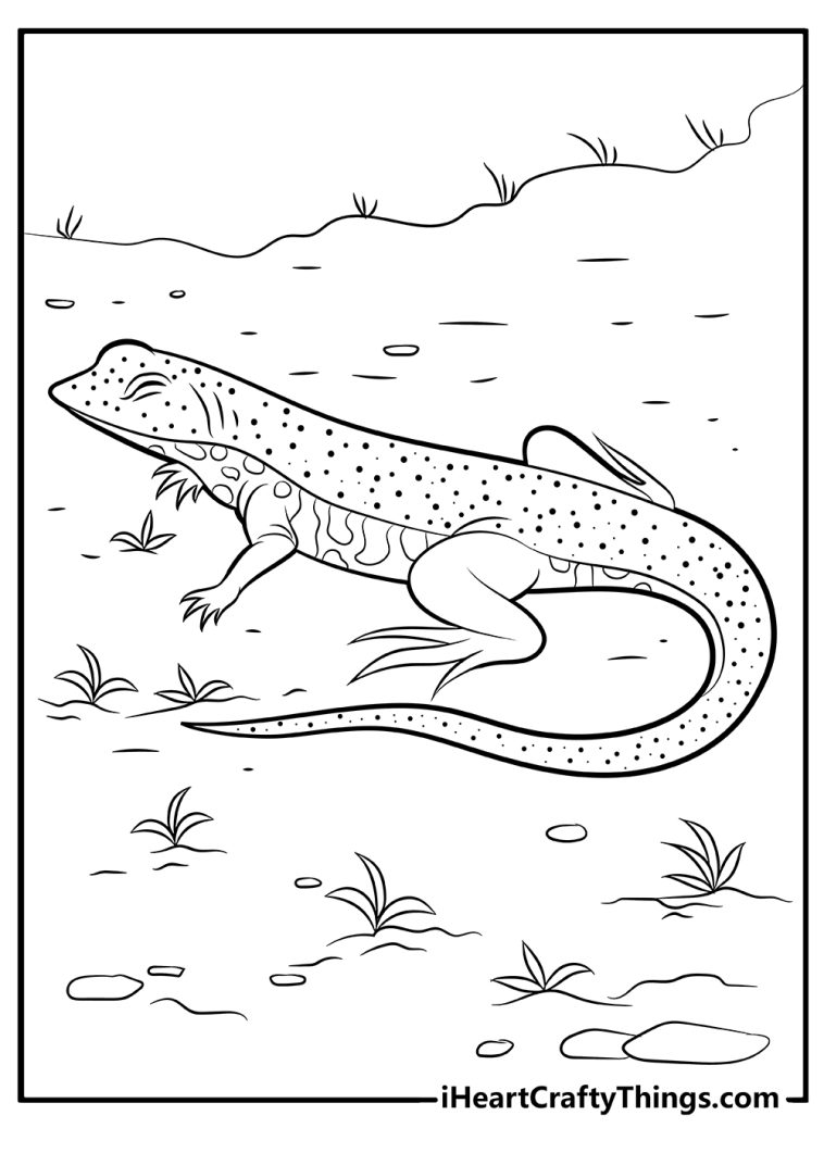 15 Free Lizard Coloring Pages: Printable Cute, Realistic PDF