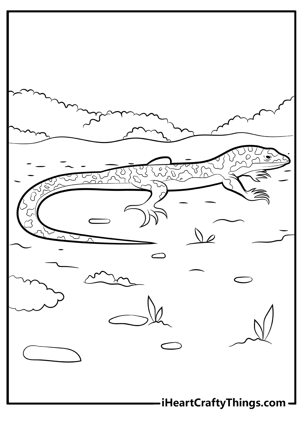 Lizard Coloring Pages free print out