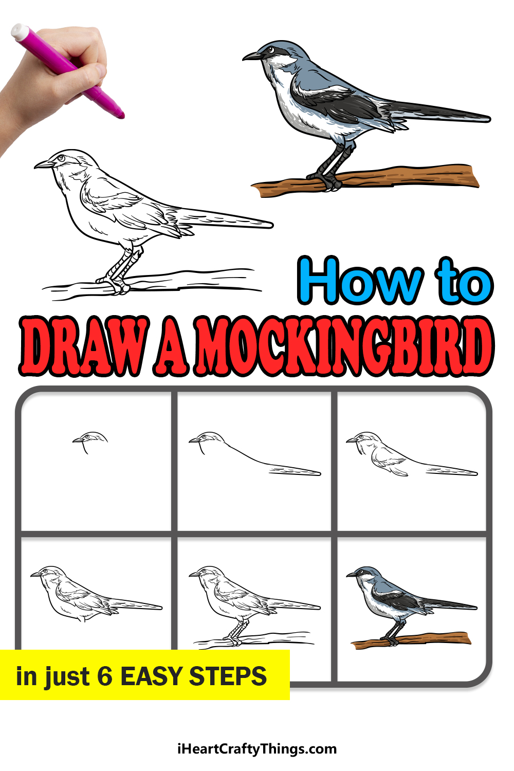 how to draw a Mockingbird in 6 easy steps
