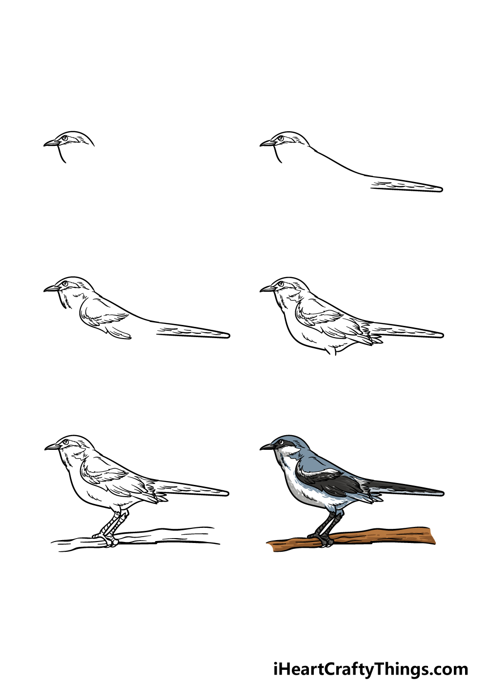 how to draw a mockingbird flying flexiblerussell