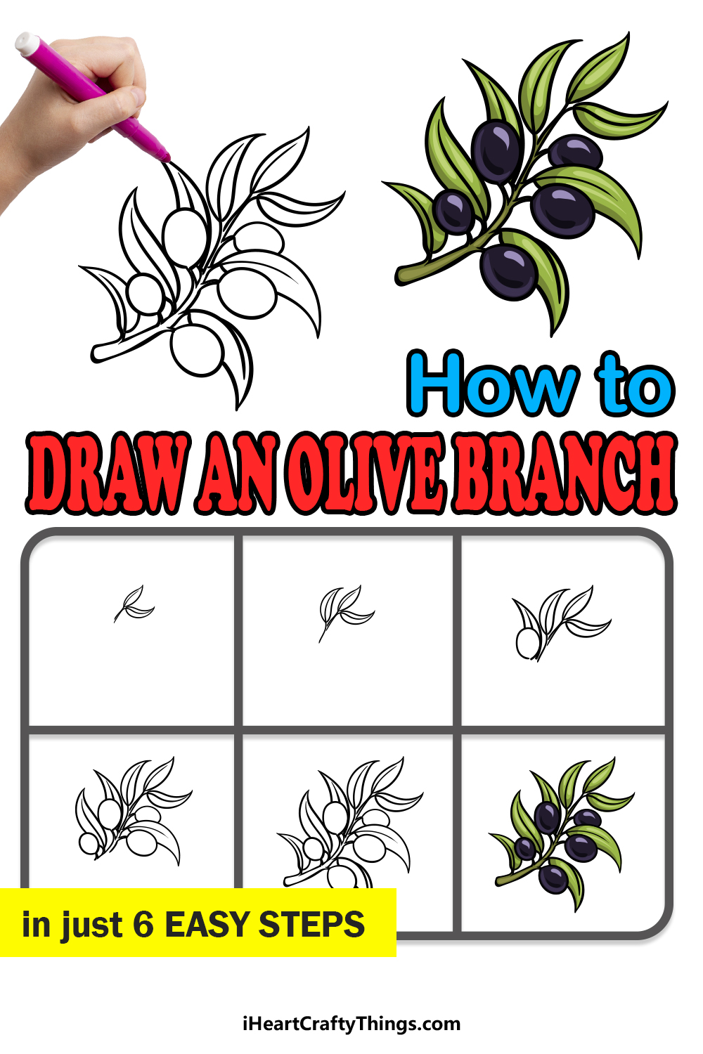 how to draw an Olive Branch in 6 easy steps