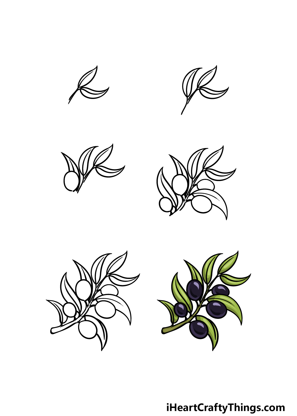 How To Draw An Olive Branch Really Easy Drawing Tutor vrogue.co