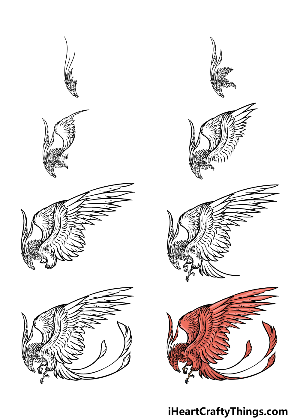 how to draw a Phoenix in 8 steps