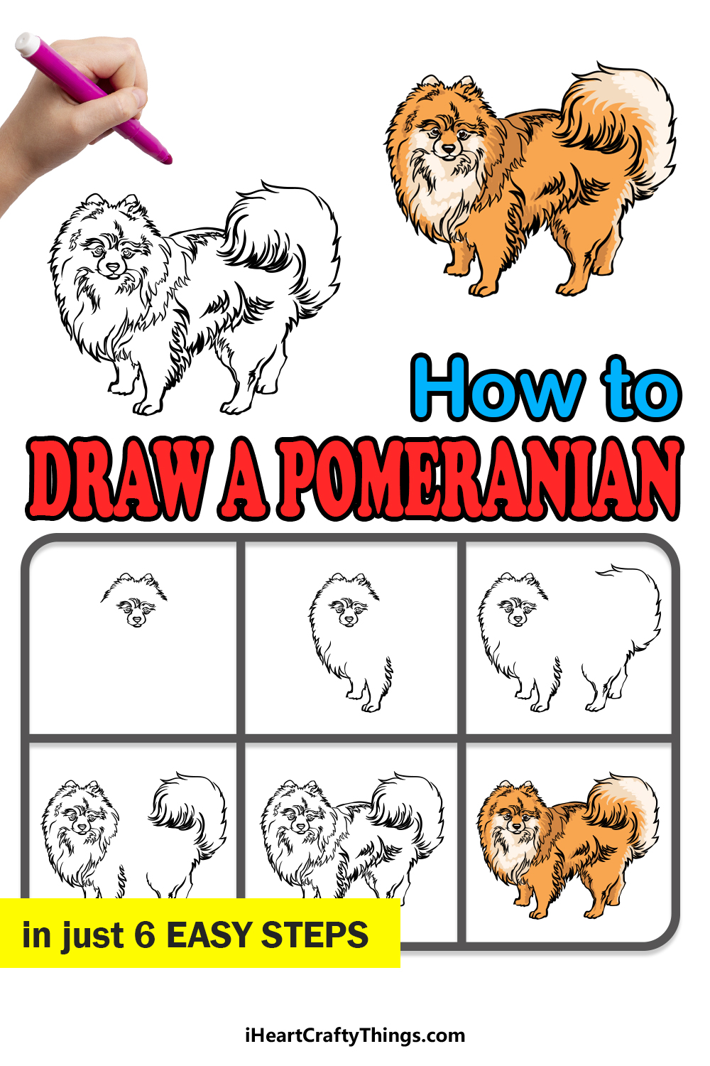 how to draw a Pomeranian in 6 easy steps