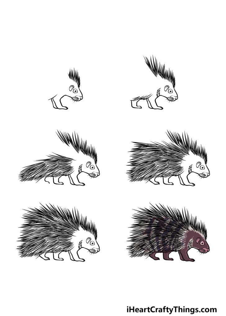 Porcupine Drawing How To Draw A Porcupine Step By Step