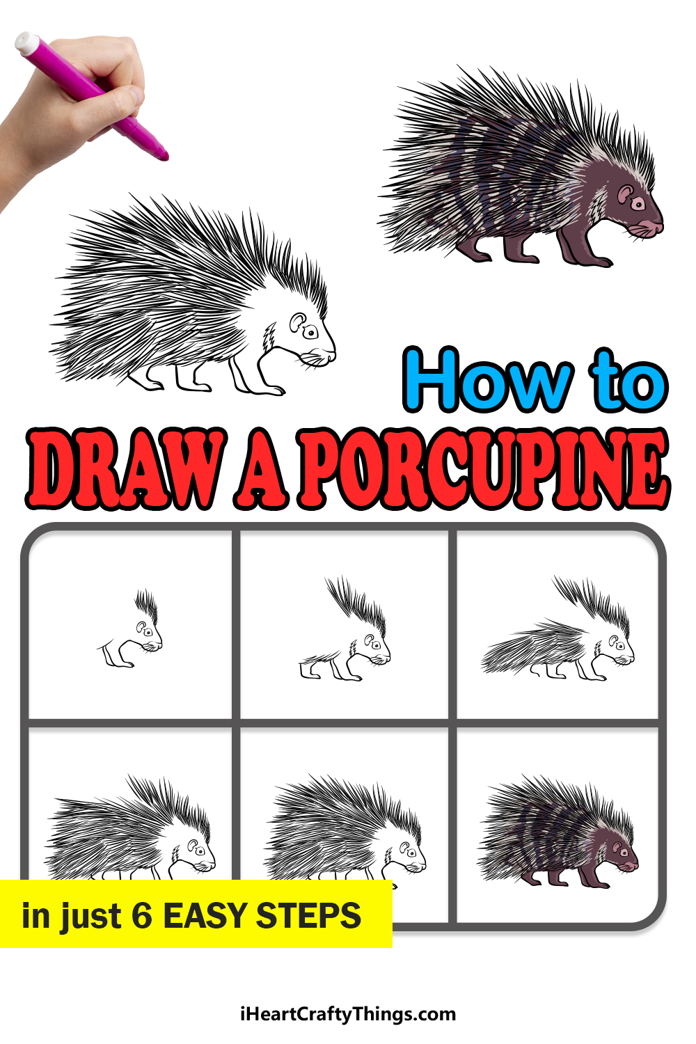 how to draw a Porcupine  in 6 easy steps