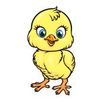 how to draw a Baby Chick image