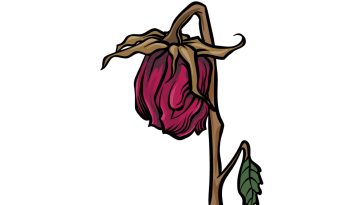 how to draw a dead flower image