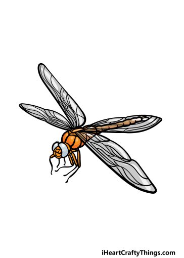 how to draw a Dragonfly image