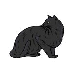 how to draw a Black Cat image