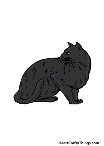 how to draw a Black Cat image
