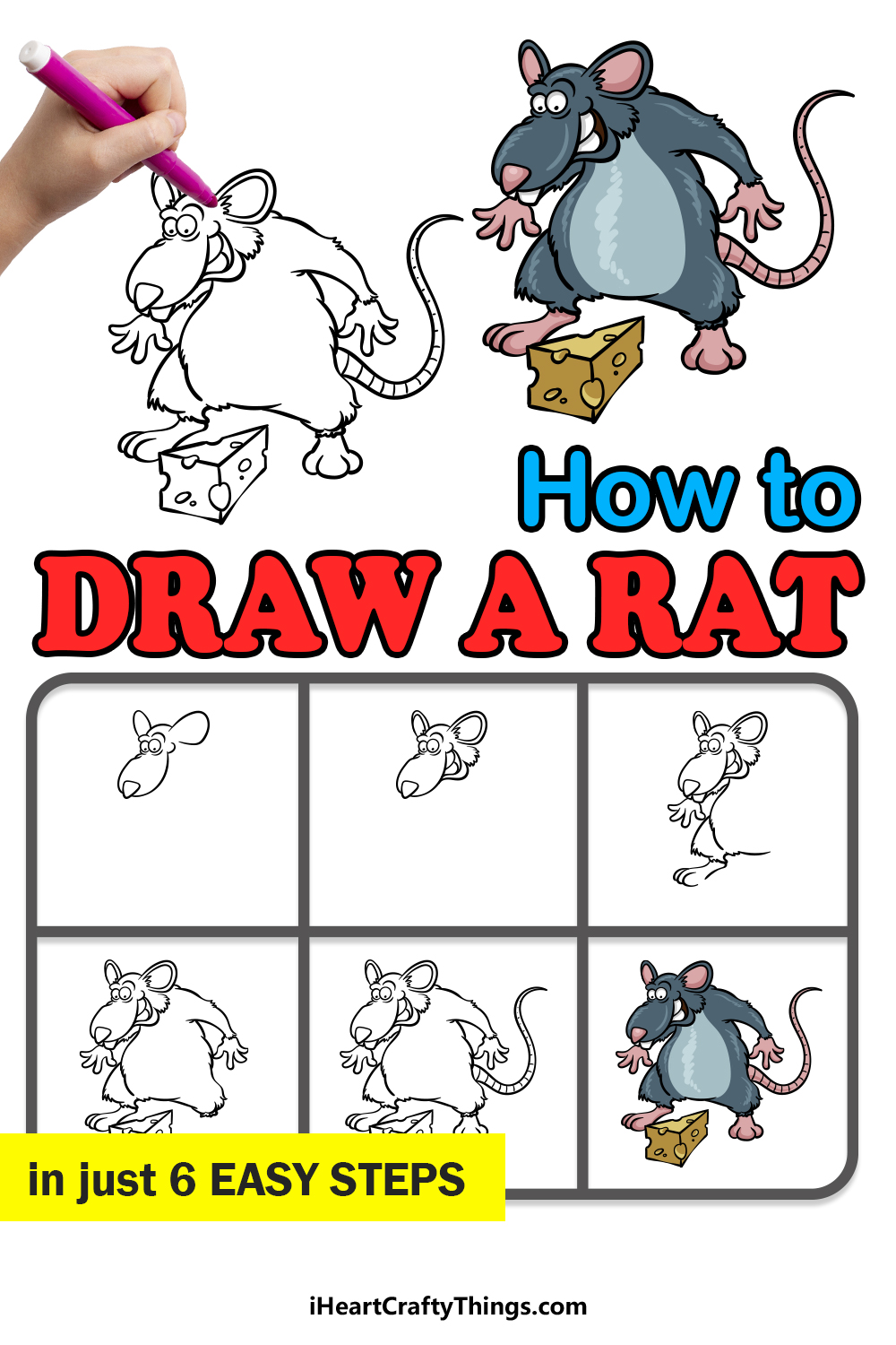 how to draw a Rat in 6 steps