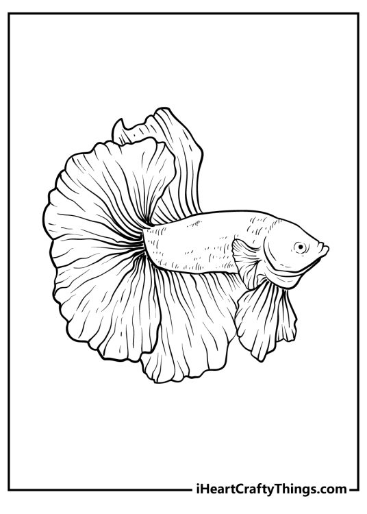 Sea Animals Coloring Pages free download for kids