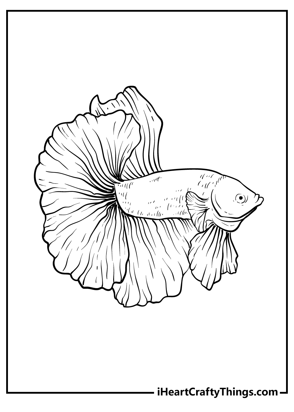 Baby Sea Animals Coloring Pages To Print For Kids - vrogue.co