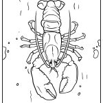 Sea Animals Coloring Pages free printable