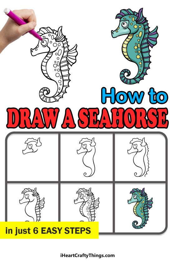 Seahorse Drawing - How To Draw A Seahorse Step By Step