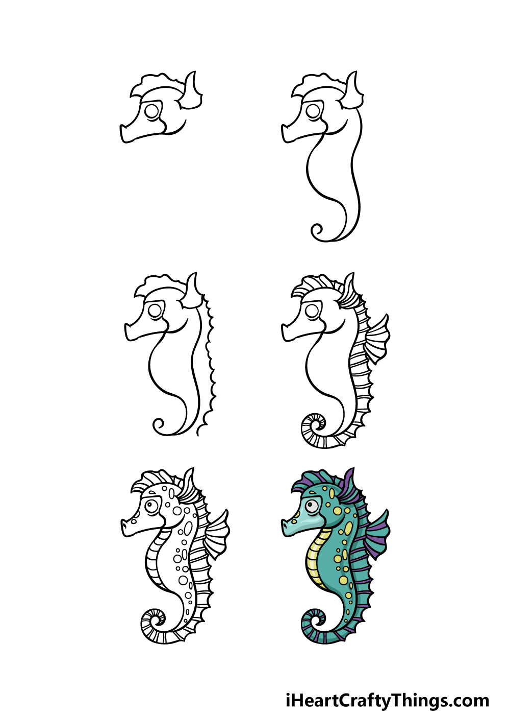 how to draw a Seahorse in 6 steps