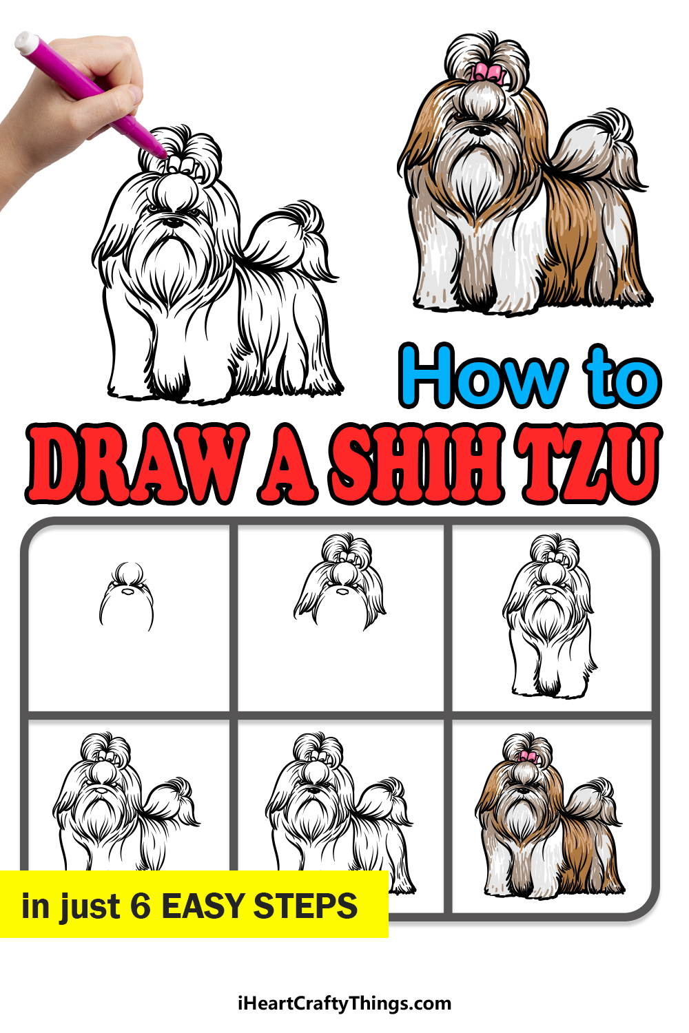 how to draw a Shih Tzu in 6 steps