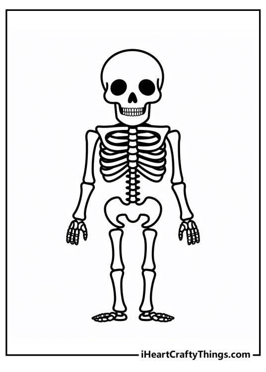 Printable coloring sheet presenting detailed skeleton showing all the bones from head to toe