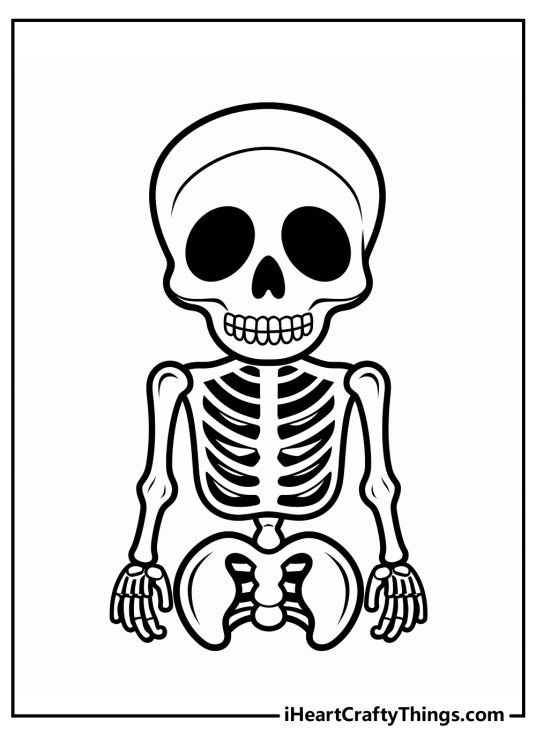 Detailed printable coloring page showing skeleton from the skull down to the pelvis