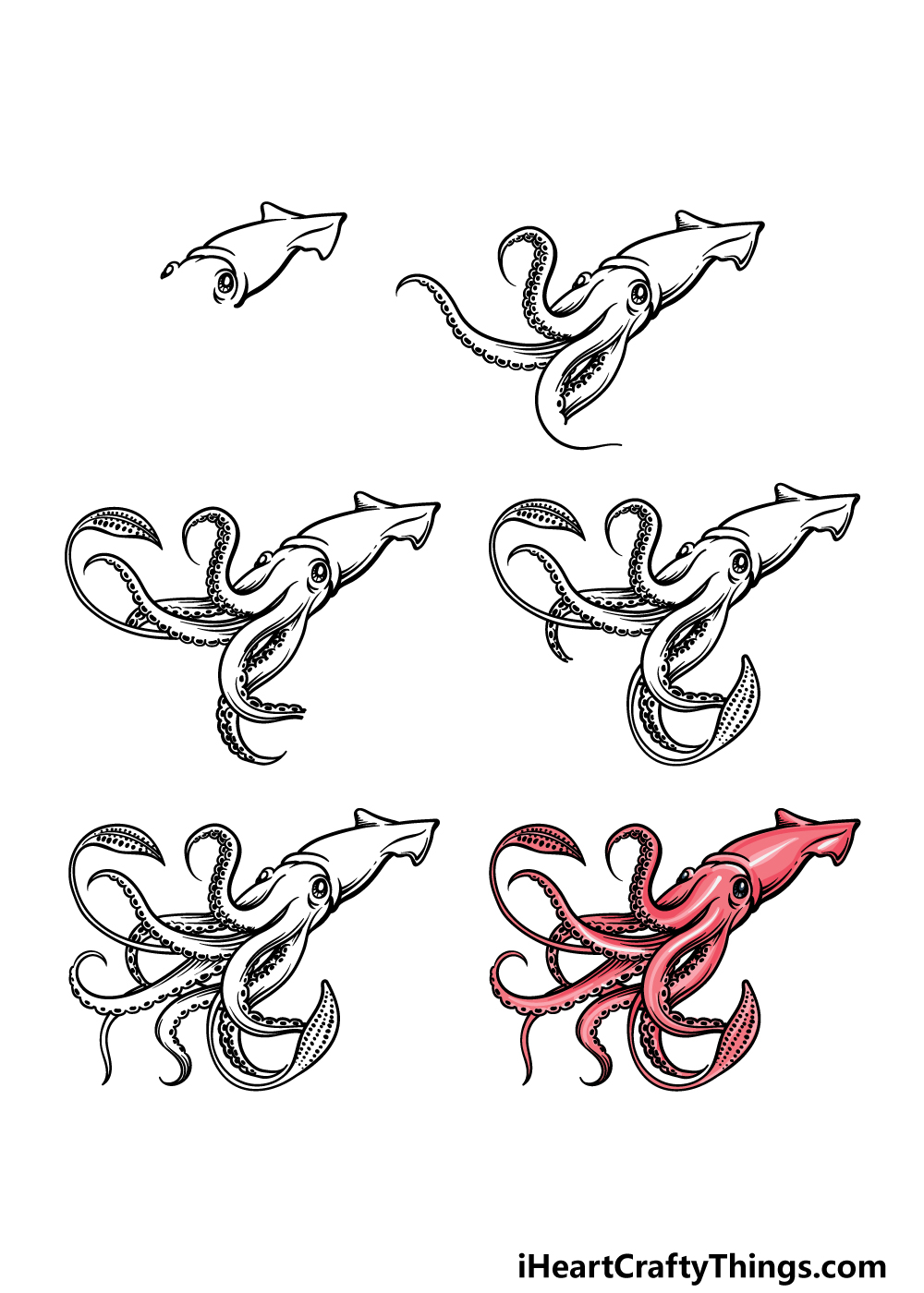 how to draw a squid in 6 steps