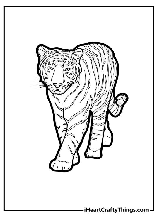Detailed picture to print and color featuring realistic tiger looking straight ahead