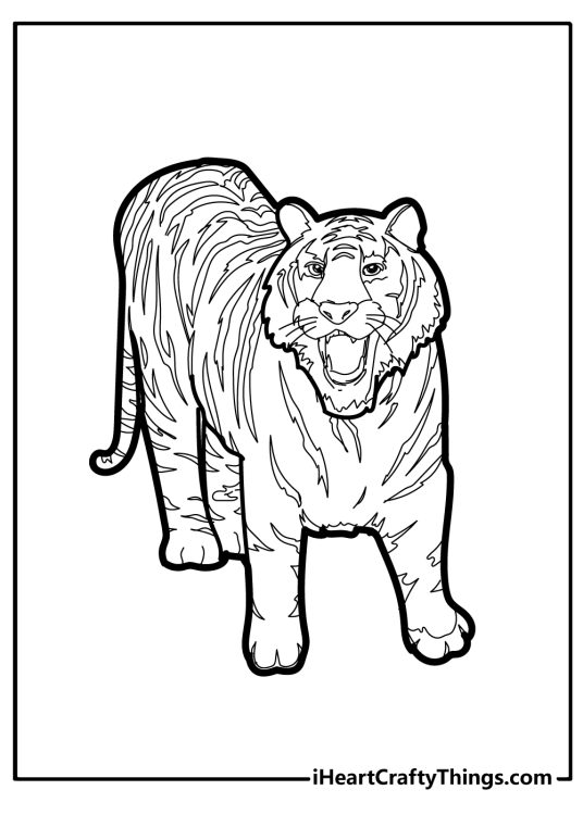 Free coloring printable for children featuring dangerous-looking roaring tiger