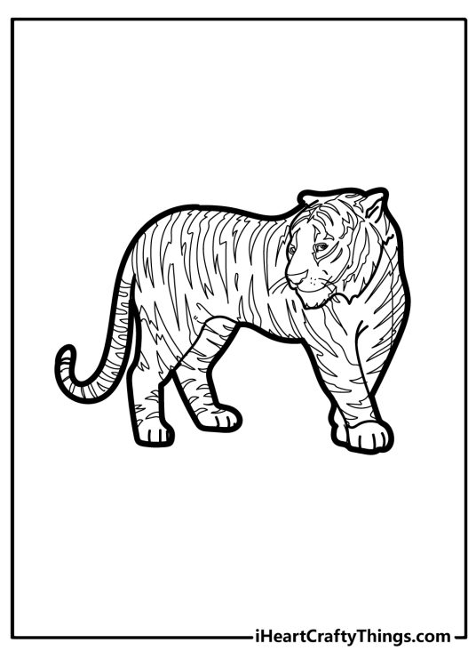 Printable coloring picture presenting realistic tiger with clear background behind him