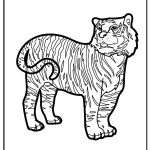 Tiger Coloring Pages free printable