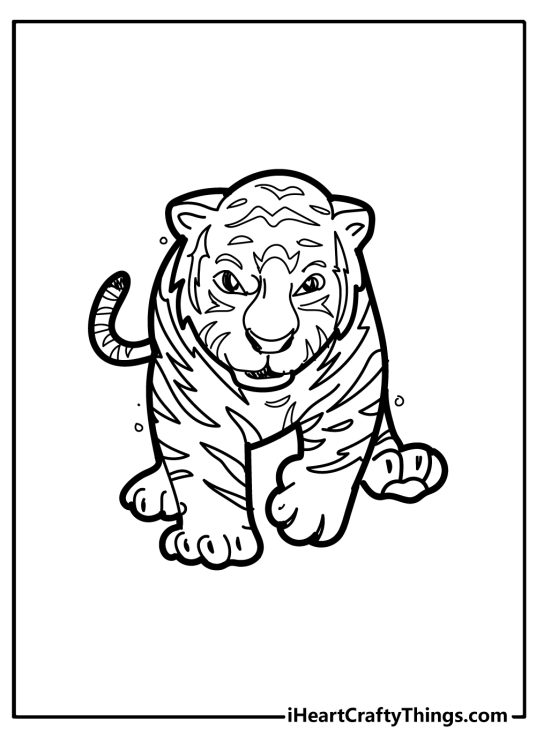 Black-and-white drawing for children featuring baby tiger looking a bit frowny and playful walking towards us